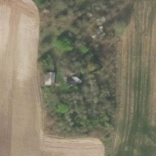 Vaizdas iš viršaus: Nemuno g. 12, Daukšiagirė