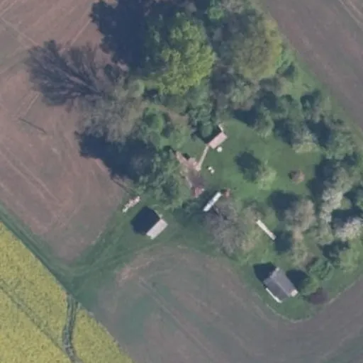 Vaizdas iš viršaus: Šaukoto g. 11, Žąsaičiai