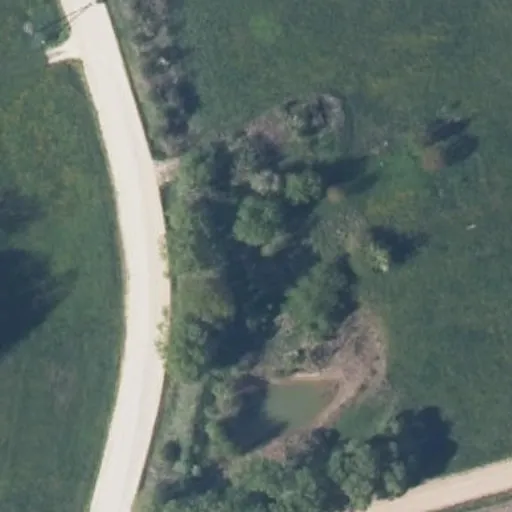 Vaizdas iš viršaus: Miško g. 31, Butkiškė