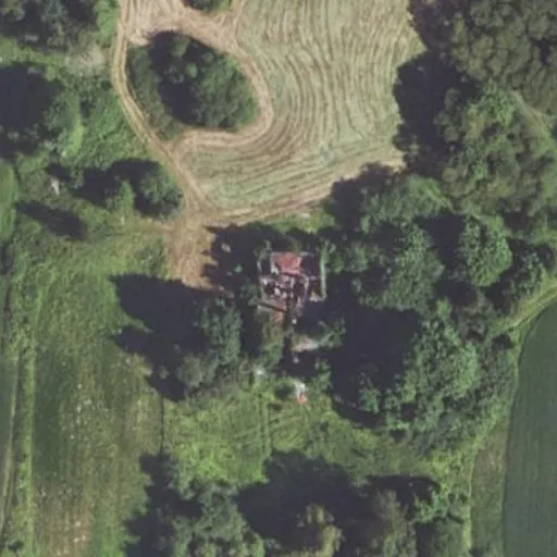 Vaizdas iš viršaus: P. Cvirkos g. 42, Pandėlys