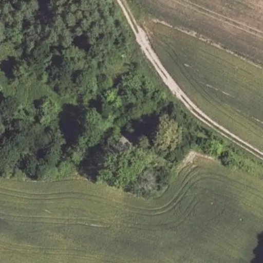 Vaizdas iš viršaus: Mindaugo g. 42, Kalviai