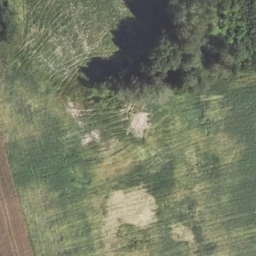 Vaizdas iš viršaus: J. Vienožinskio g. 19, Audronys I
