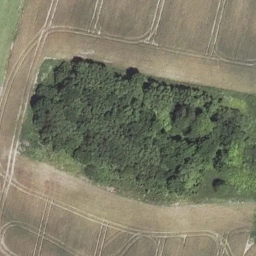 Vaizdas iš viršaus: Alsetos g. 14, Bajoriškiai