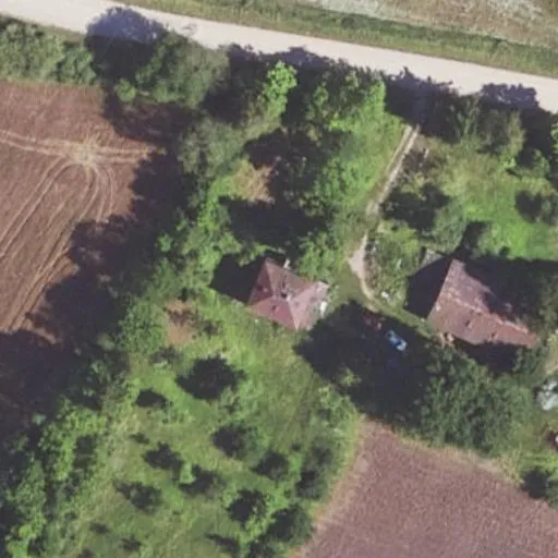 Vaizdas iš viršaus: Kazliškėlis 2