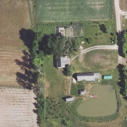 Vaizdas iš viršaus: Palaukės g. 1, Didsodė