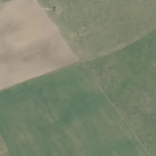 Vaizdas iš viršaus: Narbutiškė 8B