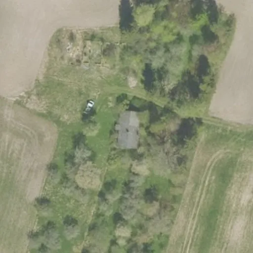 Vaizdas iš viršaus: Žalgirių g. 10, Daukšiai