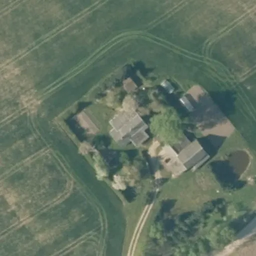 Vaizdas iš viršaus: Ąžuolynės g. 4, Ąžuolynė