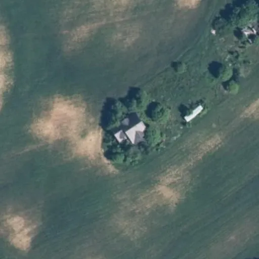 Vaizdas iš viršaus: Užugirio g. 13, Pauliškės