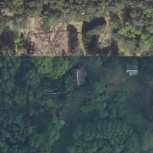 Vaizdas iš viršaus: Kudrionių Giria 10A