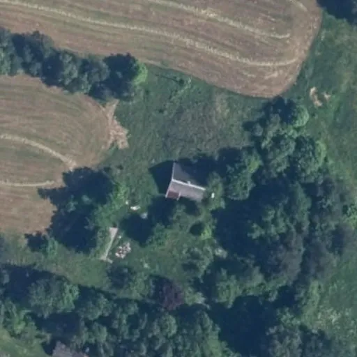 Vaizdas iš viršaus: Žolynų g. 1, Zabarija