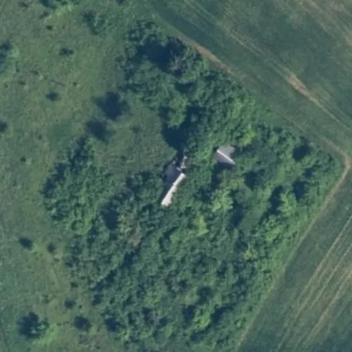 Vaizdas iš viršaus: Užupio g. 60, Pilypiškės