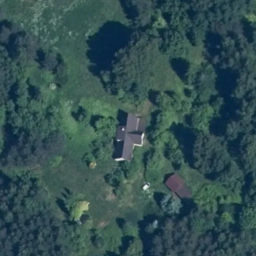 Vaizdas iš viršaus: Lelyvos g. 56, Lelyva