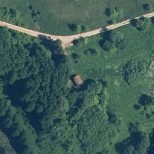 Vaizdas iš viršaus: Rusakalnio g. 39, Kapšiai