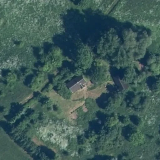 Vaizdas iš viršaus: Rusakalnio g. 55, Rusakalnis