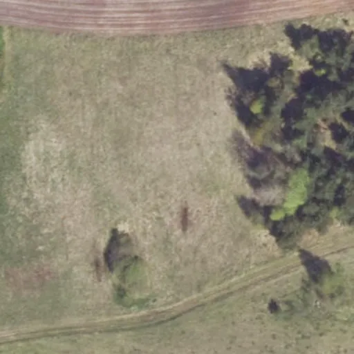 Vaizdas iš viršaus: Žalioji g. 16A, Drabužninkai