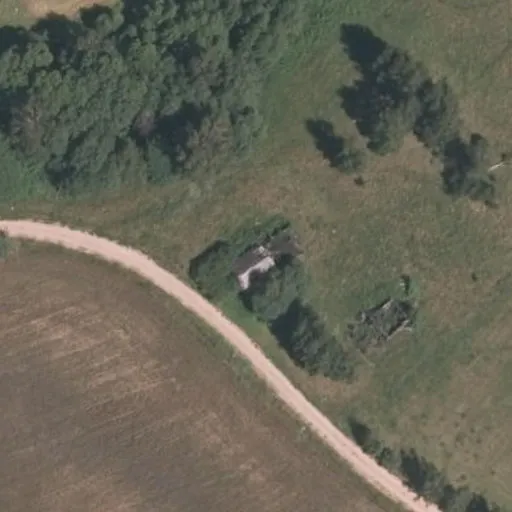 Vaizdas iš viršaus: Sodybų g. 4, Balandžiai