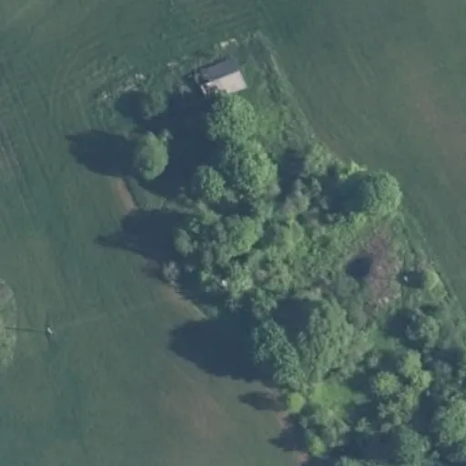 Vaizdas iš viršaus: Vienkiemių g. 20, Bajorai