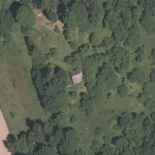Vaizdas iš viršaus: Klevų g. 19, Balandžiai