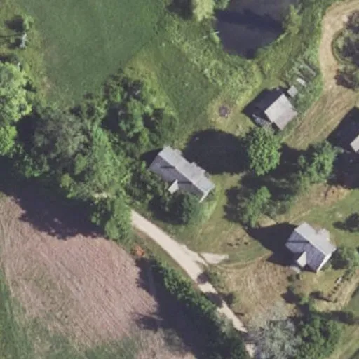 Vaizdas iš viršaus: Eigulių g. 10, Daunoriai