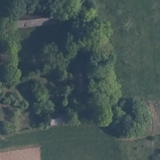 Vaizdas iš viršaus: Giminių g. 2, Kaimelis