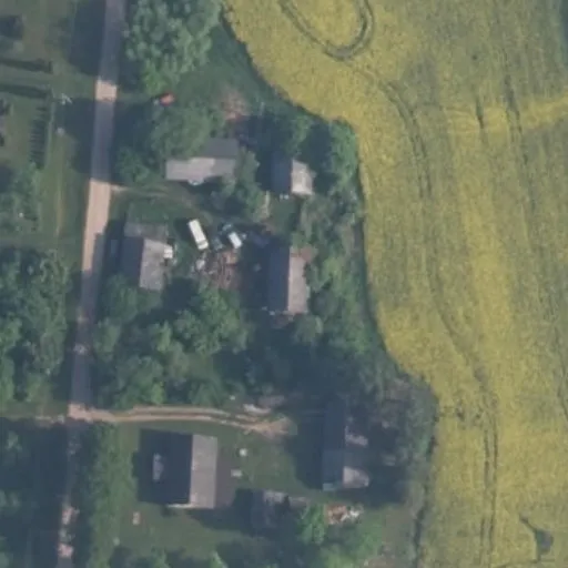 Vaizdas iš viršaus: Pietų g. 2, Skaistakaimis