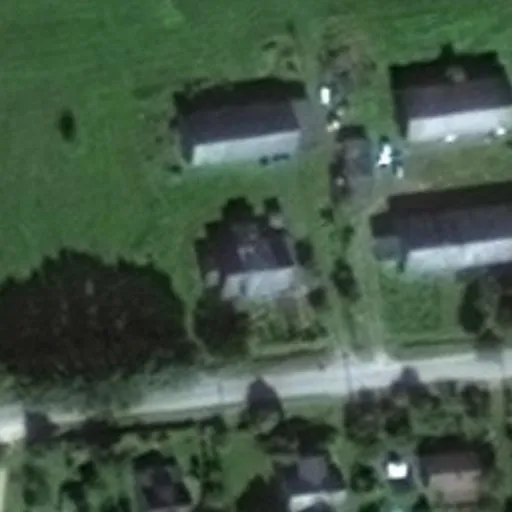 Vaizdas iš viršaus: Draugystės g. 4, Ročiškiai