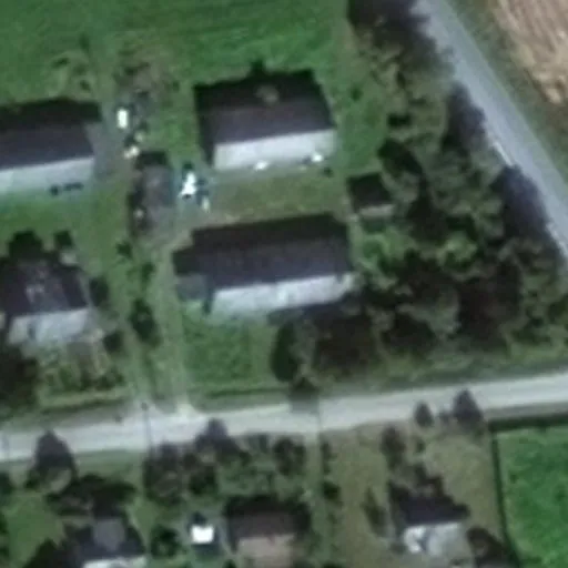 Vaizdas iš viršaus: Draugystės g. 2, Ročiškiai