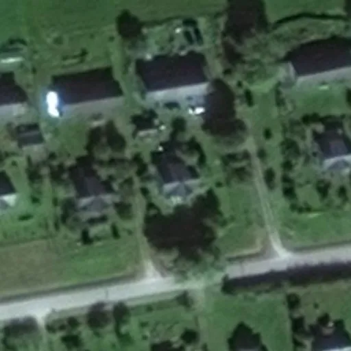 Vaizdas iš viršaus: Draugystės g. 24, Ročiškiai