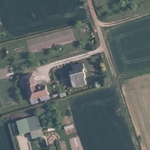 Vaizdas iš viršaus: Gėlių g. 1, Gelgaudiškis