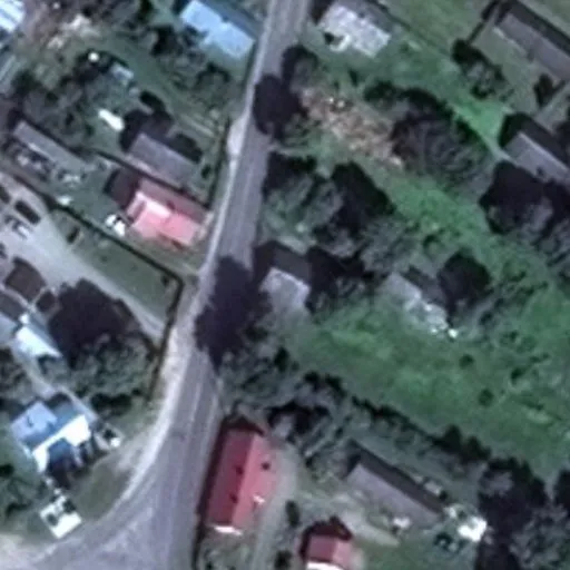 Vaizdas iš viršaus: Bažnyčios g. 21A, Butrimonys