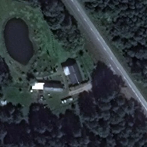 Vaizdas iš viršaus: Subotnikų g. 60, Dieveniškės