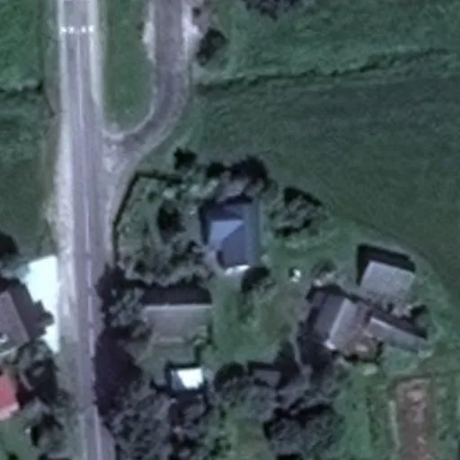 Vaizdas iš viršaus: Bažnyčios g. 17, Butrimonys