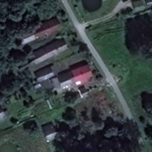 Vaizdas iš viršaus: Žalioji g. 11, Dieveniškės