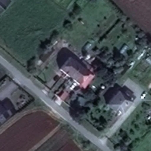 Vaizdas iš viršaus: Pušų g. 21, Šalčininkai