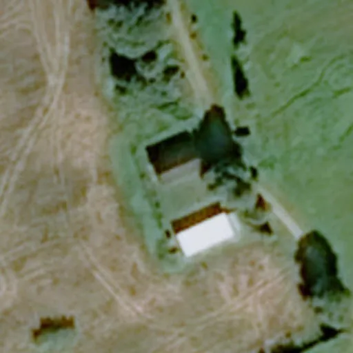 Vaizdas iš viršaus: Liepų g. 20, Bareišiūnai