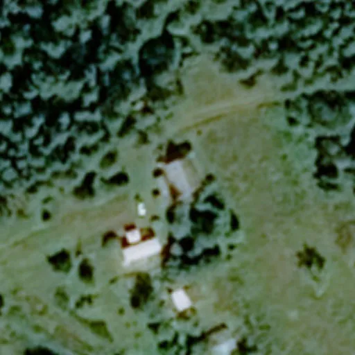Vaizdas iš viršaus: Liepų g. 4B, Bareišiūnai