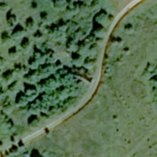 Vaizdas iš viršaus: Liepų g. 12A, Bareišiūnai