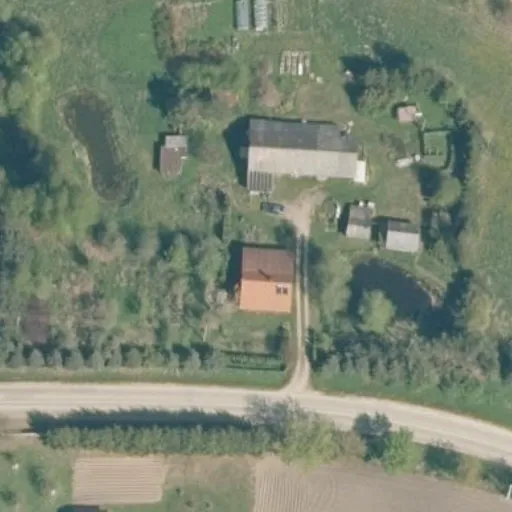 Vaizdas iš viršaus: Pūtvės Pilies g. 18, Struikai