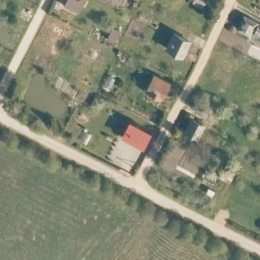 Vaizdas iš viršaus: Gegutės g. 2, Struikai