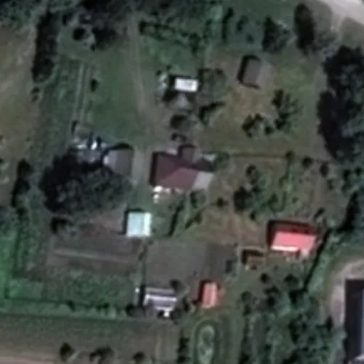 Vaizdas iš viršaus: Pušyno g. 23, Šilgaliai