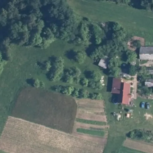 Vaizdas iš viršaus: Daubarai 13
