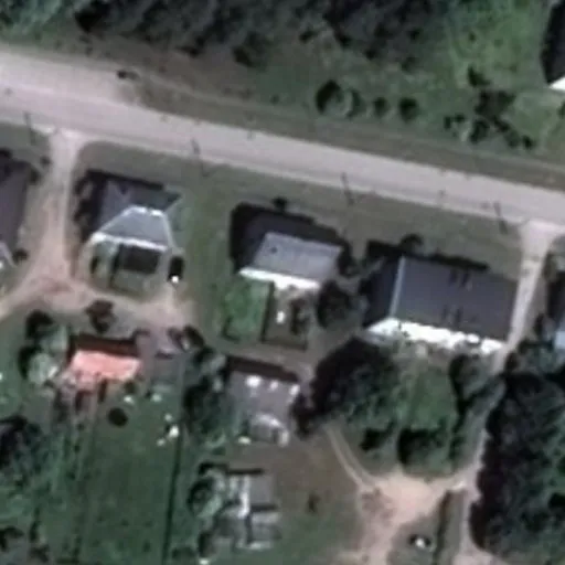 Vaizdas iš viršaus: Pušyno g. 11, Šilgaliai