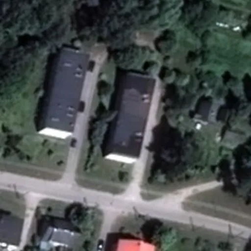 Vaizdas iš viršaus: Pušyno g. 10, Šilgaliai
