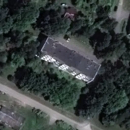 Vaizdas iš viršaus: Pušyno g. 12, Šilgaliai