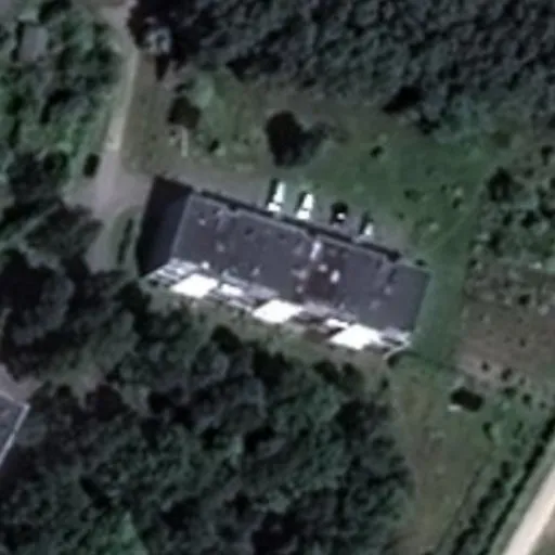 Vaizdas iš viršaus: Pušyno g. 16, Šilgaliai