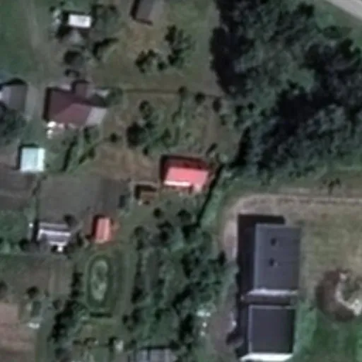 Vaizdas iš viršaus: Pušyno g. 25, Šilgaliai