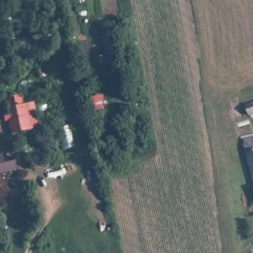 Vaizdas iš viršaus: Ringės g. 26, Barskūnai