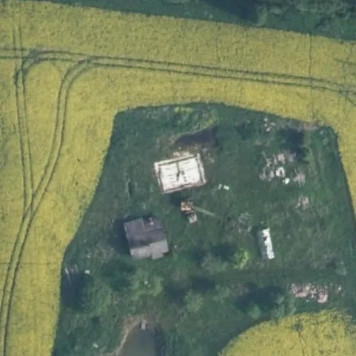 Vaizdas iš viršaus: Rasos g. 61, Avižonys