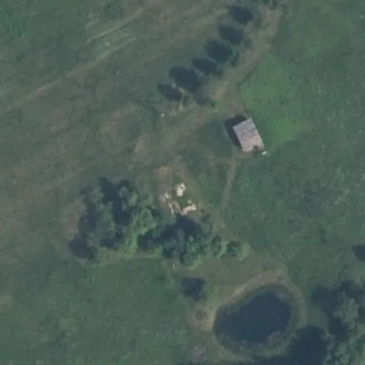 Vaizdas iš viršaus: Giedraičių g. 13, Gavėniai